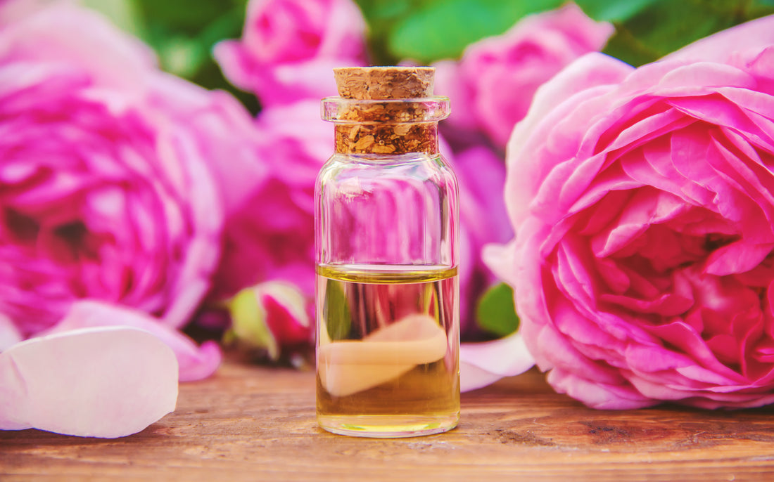 Rose Oil