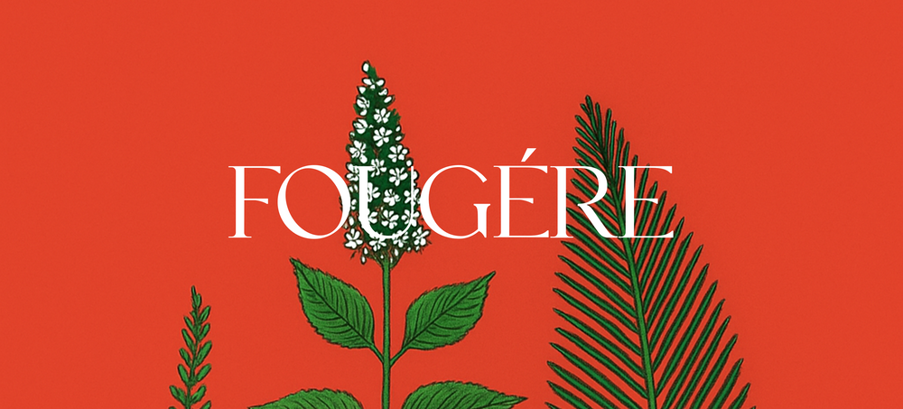 Collesta Fougère