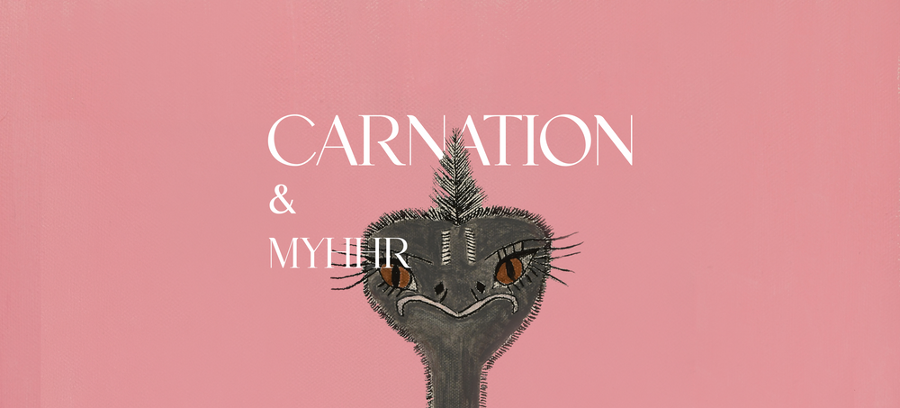 Carnation Spice