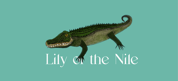 Lily of the Nile
