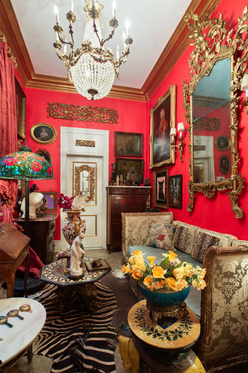 The Crimson Salon   —Dr. Cynthia Magro